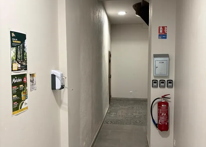 Les Glaneuses - 2 En Centre Bourg De 2 A 4 Personnes A 3 Min Du Puy Dufou